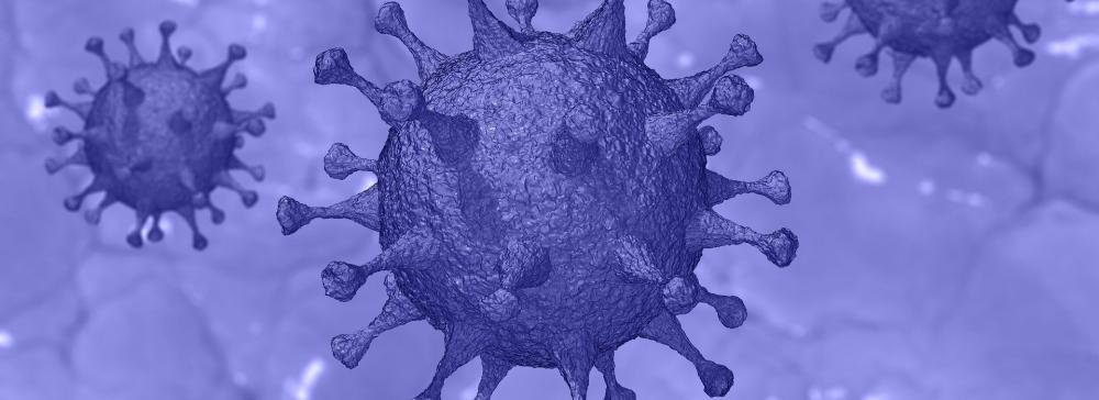 Corona Virus